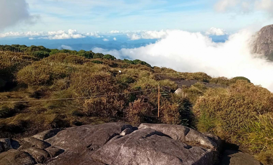 Demarcação Pico Paraná C