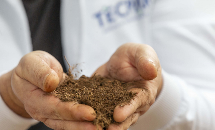 SAÚDE ÚNICA: TECPAR INCORPORA ABORDAGEM QUE INTEGRA SAÚDE HUMANA, ANIMAL E AMBIENTAL