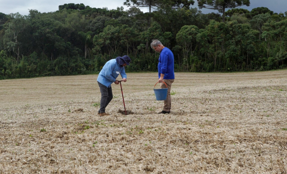 Em novo edital, Sanepar amplia disponibilidade de biossólido para a agricultura