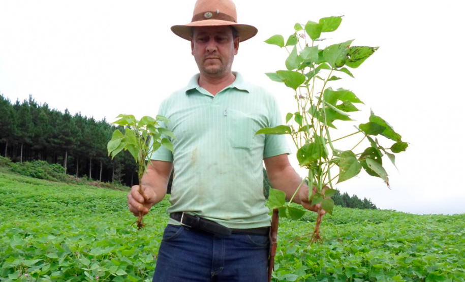 Em novo edital, Sanepar amplia disponibilidade de biossólido para a agricultura