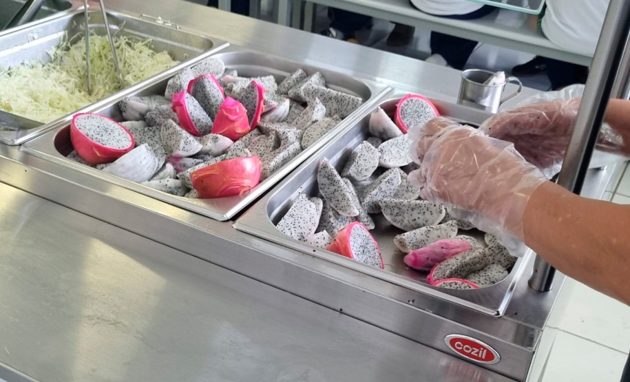 Em oito anos, Paraná investe R$ 2,8 bilhões e diversifica alimentação escolar com orgânicos, frutas nativas e tecnologia de conservação