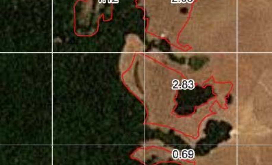 PMPR utiliza imagens de satélite e identifica desmatamento ilegal na Lapa