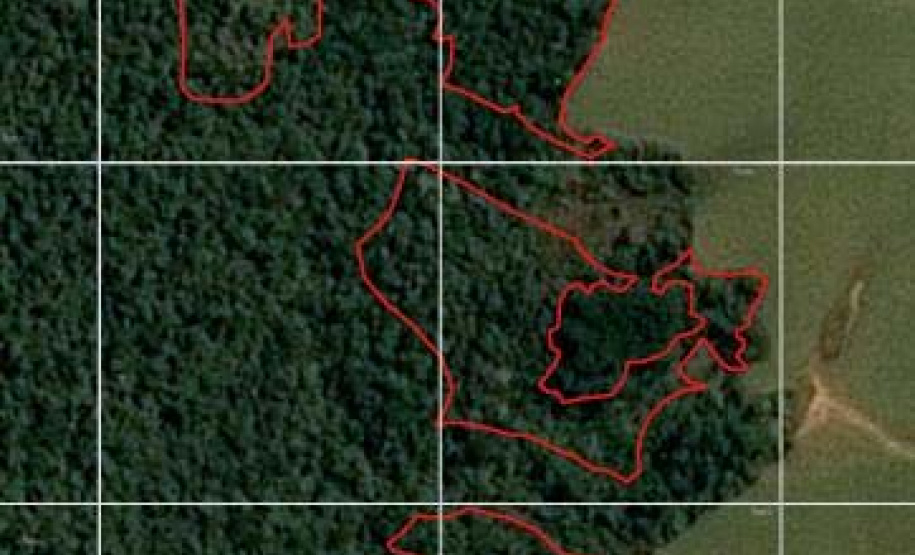 PMPR utiliza imagens de satélite e identifica desmatamento ilegal na Lapa