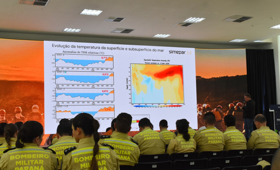 Planejamento e integração marcam preparação do Paraná para temporada de incêndios florestais