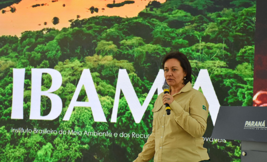 Planejamento e integração marcam preparação do Paraná para temporada de incêndios florestais