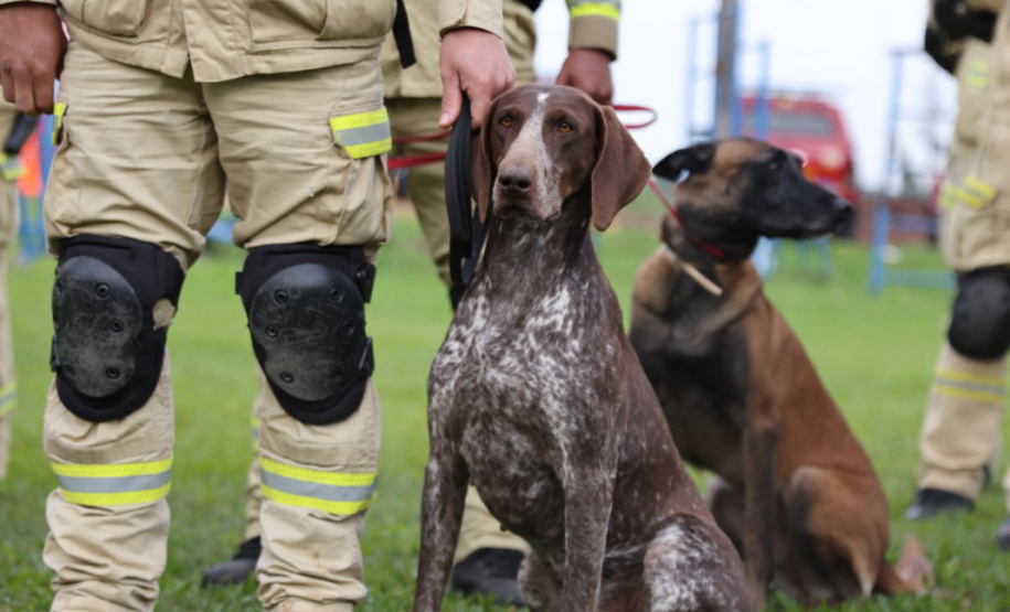 Bombeiros do Paraná participam de simulado inédito com as corporações de SC e RS e aperfeiçoam resposta a desastres