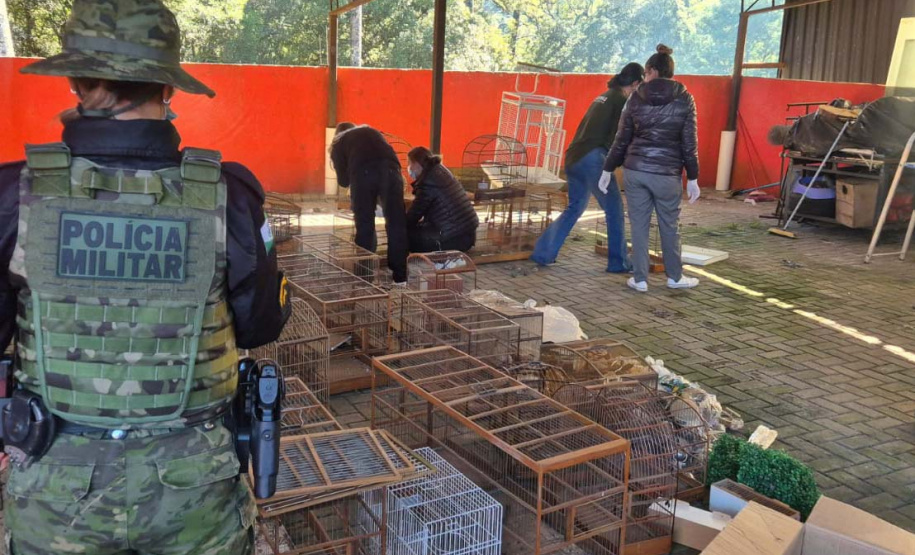 PMPR e IAT apreendem 95 aves e aplicam mais de R$ 400 mil em multas durante operação em Guarapuava