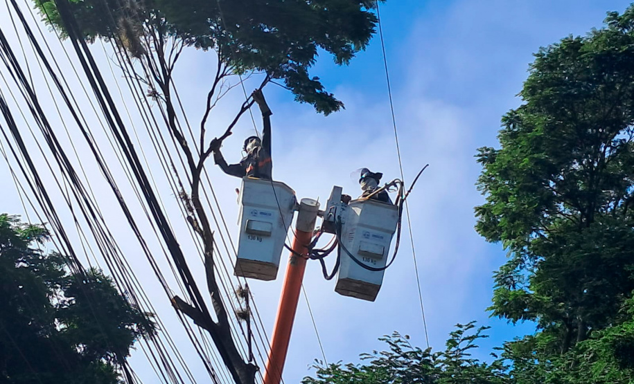 Copel realiza mutirão de poda preventiva em Cornélio Procópio e Rolândia neste domingo
