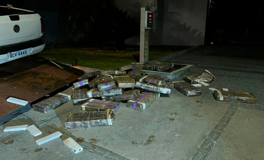 PMPR apreende mais de 5 toneladas de maconha em operações no Oeste