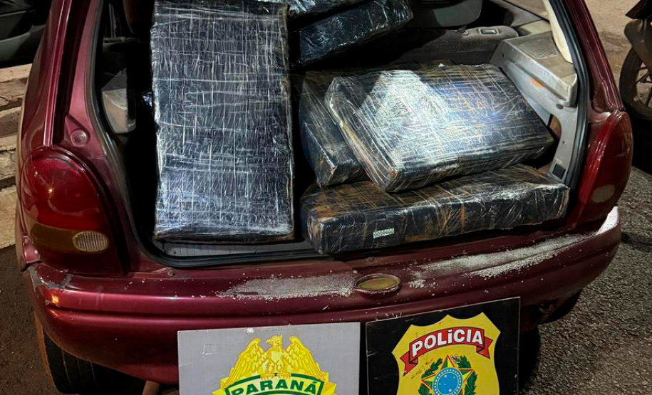 PMPR apreende mais de 5 toneladas de maconha em operações no Oeste