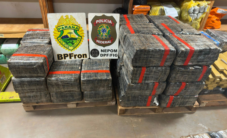 PMPR apreende mais de 1,6 tonelada de maconha em duas ações; prejuízo ao crime passa de R$ 3,3 milhões