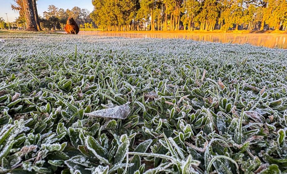 CIDADES PARANAENSES AMANHECEM COM GEADA E RECORDE DE TEMPERATURA MÍNIMA