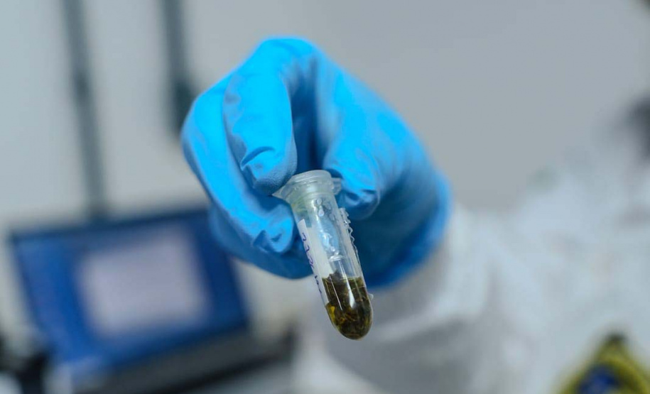 Dos testes de rotina às novas drogas sintéticas: como a Polícia Científica identifica substâncias apreendidas