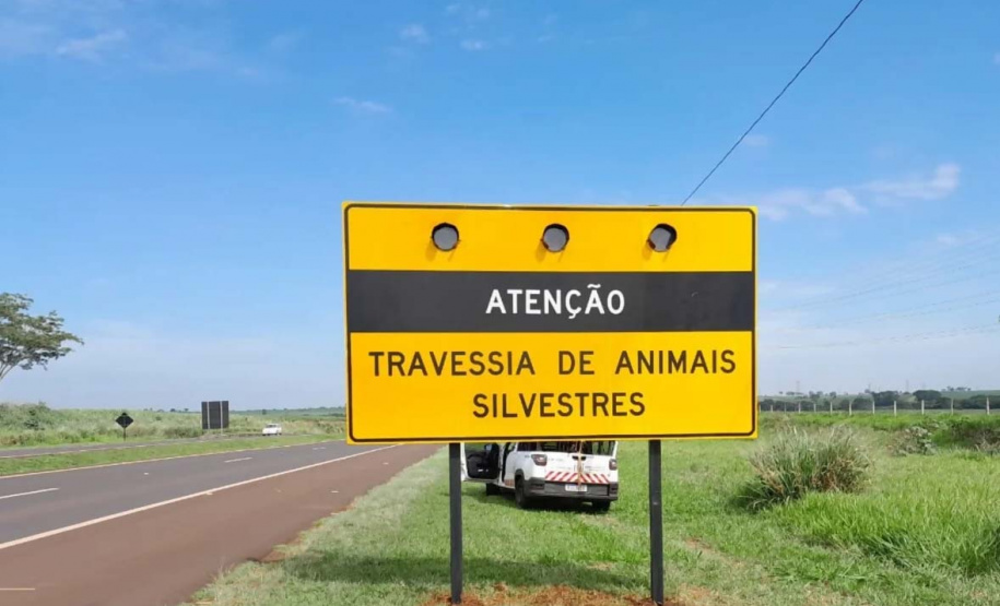 Vai pegar a estrada? Secretaria do Desenvolvimento Sustentável alerta para os cuidados com a fauna silvestre.
