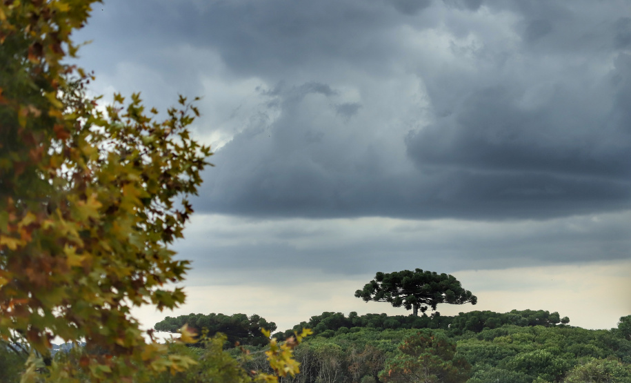 CLIMA