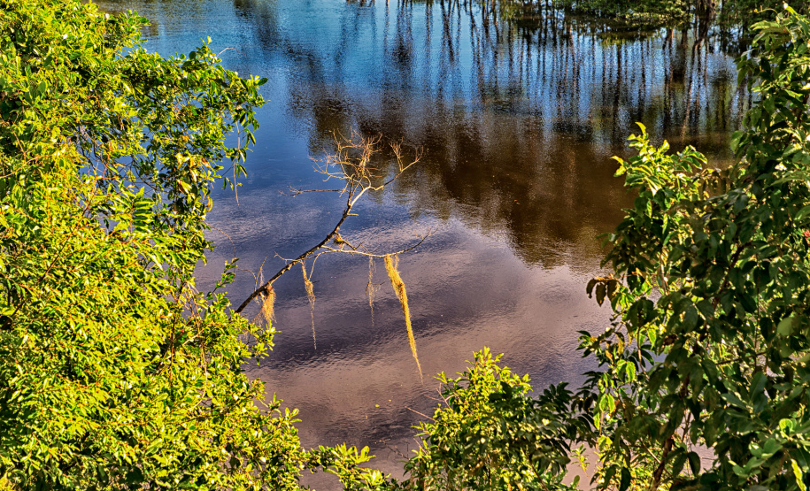 Parque Estadual do Palmito (Paranaguá)