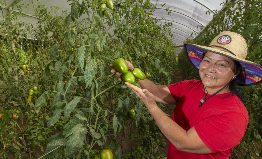Universidades estaduais do Paraná auxiliam agricultores familiares na certificação orgânica