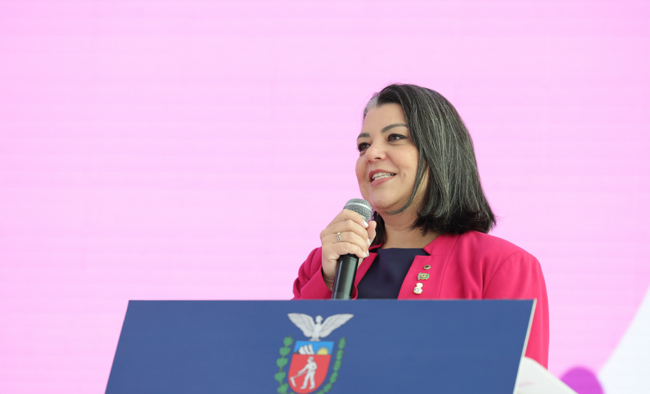 Paraná Cuida Delas