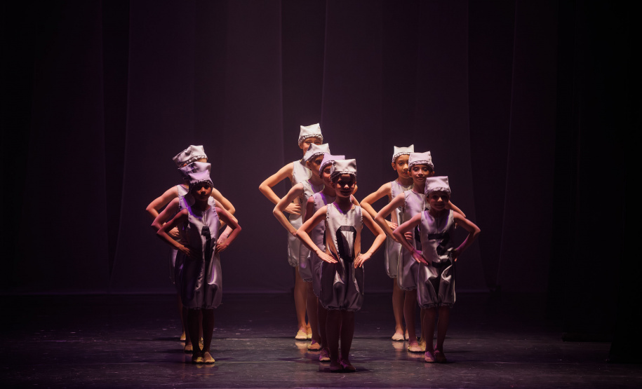 processo seletivos Escola Dança Teatro Guaíra