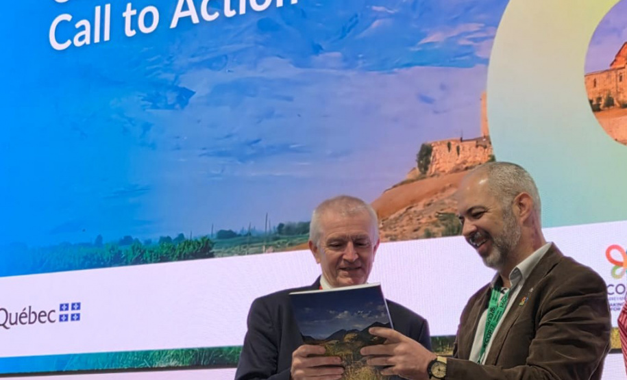 IAT - COP 17