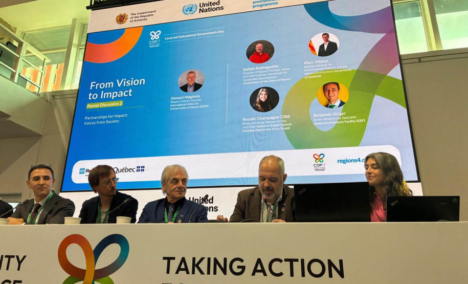 IAT - COP 17