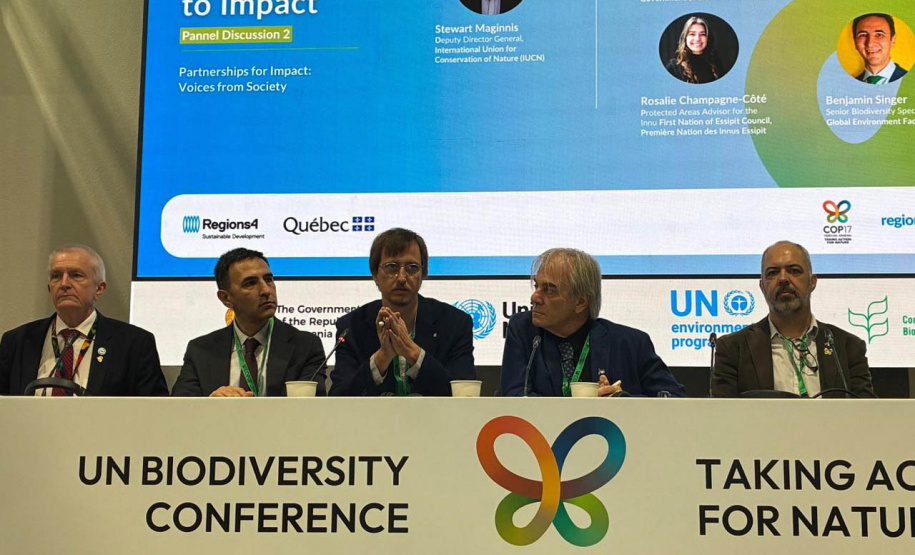 IAT - COP 17