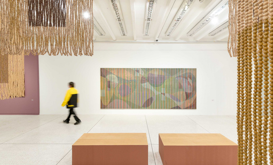 Últimos dias da exposição do artista Mano Penalva no MON