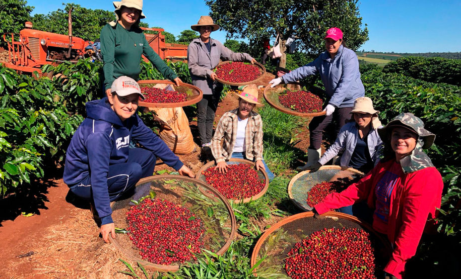 Feira da Agroindústria Familiar reúne produtores e valoriza protagonismo das mulheres rurais no Paraná