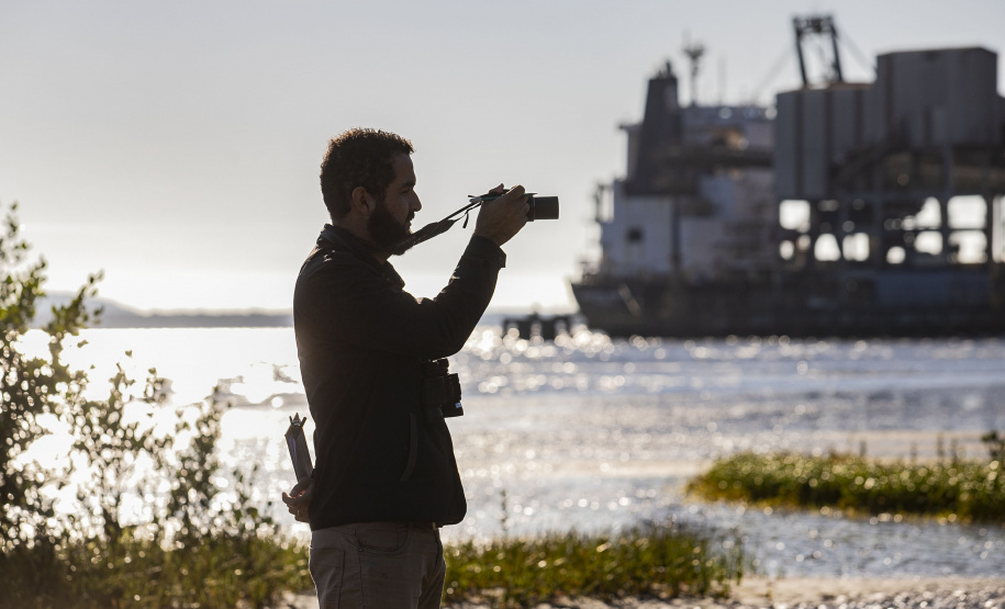 Monitoramento no Porto de Paranaguá registra quase 25 mil aves em 09 meses e reforça ações de conservação no Litoral