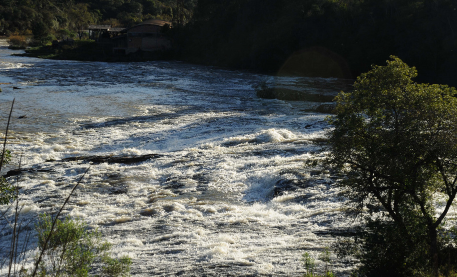 CBHs do Rio Jordão e dos Afluentes do Médio Iguaçu discutem o gerenciamento da água no Paraná