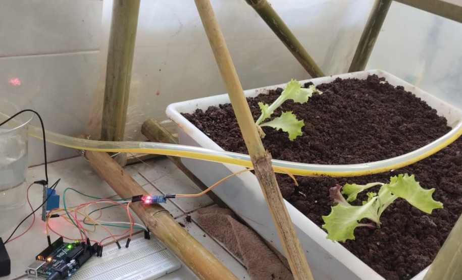 Aluno cria estufa inteligente com irrigação automática e planeja ampliar projeto para agricultura familiar