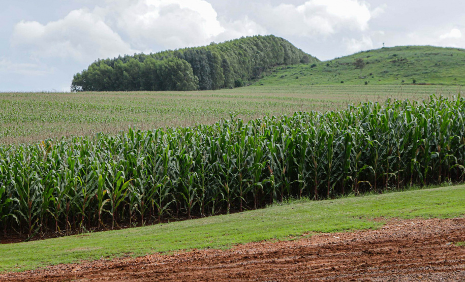 Valor de produção agricola IBGE