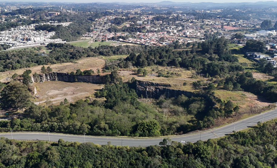 PEDREIRA