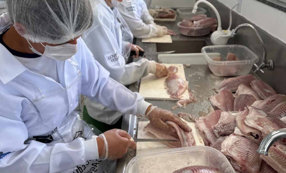 Com produção de quase uma tonelada de tilápia, colégio agrícola se destaca como pioneiro no Paraná
