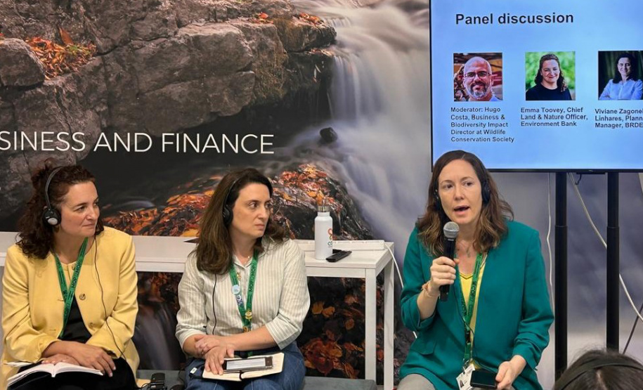 BRDE leva experiência com créditos de biodiversidade à COP17