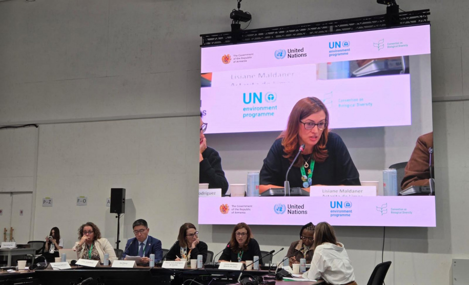 BRDE apresenta experiência inovadora do Paraná em fórum internacional da COP17