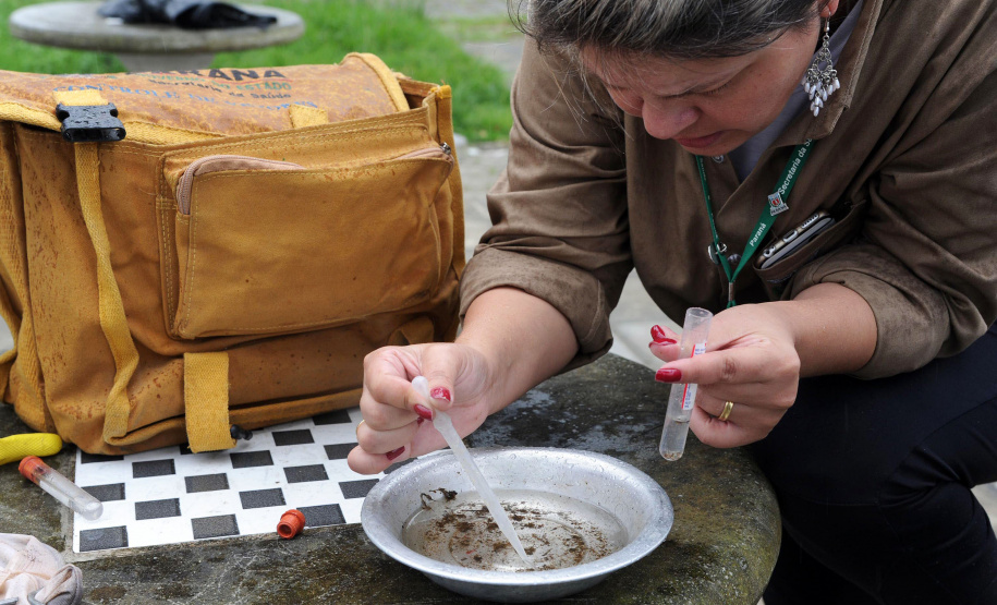 Paraná está em alerta com aumento de casos de degue. Foto: Venilton Kuchler/Arquivo ANPr