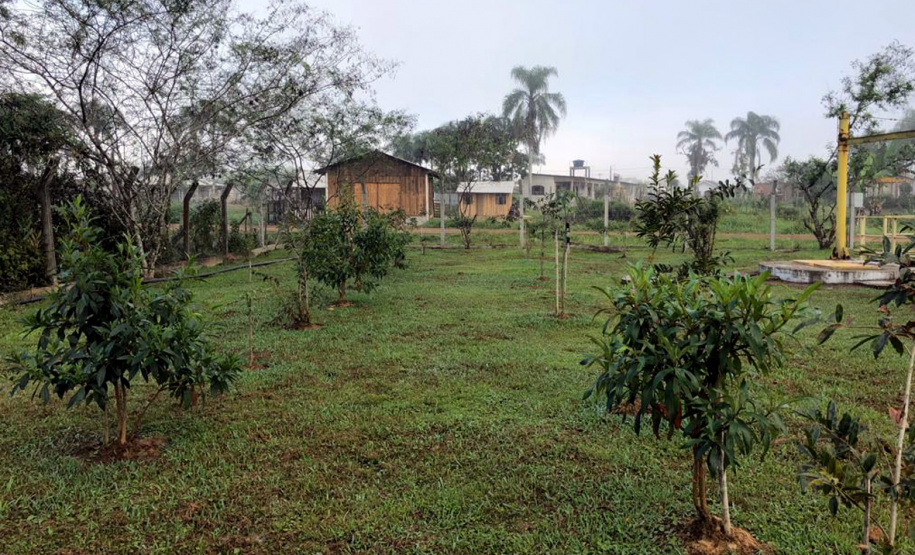 A Sanepar está ampliando a formação de cortinas verdes no entorno de estações de tratamento (ETE) e elevatórias (EEE) de esgoto em todo o Estado   -  Curitiba, 10/01/2019  -  Foto: Divulgação Sanepar