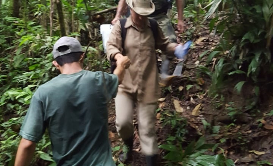 Uma equipe da Secretaria de Estado da Saúde está em Antonina, no Litoral, para investigar o local em que foram encontrados três macacos mortos e uma carcaça mais antiga, diante da possibilidade de que os animais tenham morrido por causa da febre amarela. - Foto: Divulgação SESA