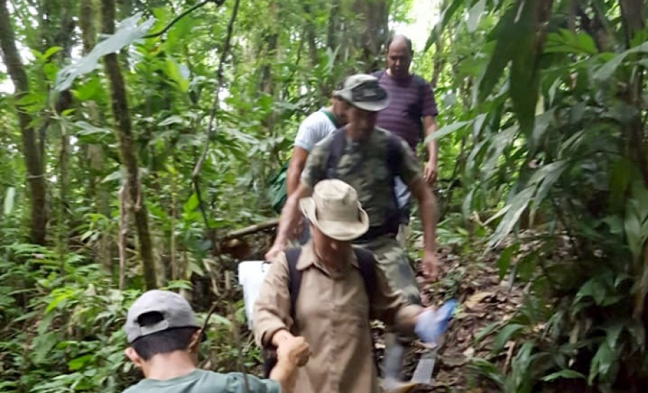Uma equipe da Secretaria de Estado da Saúde está em Antonina, no Litoral, para investigar o local em que foram encontrados três macacos mortos e uma carcaça mais antiga, diante da possibilidade de que os animais tenham morrido por causa da febre amarela. - Foto: Divulgação SESA