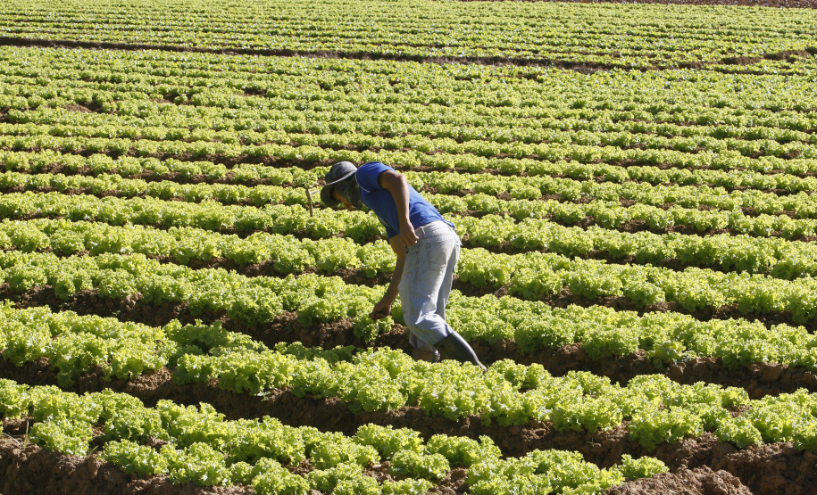 Governo vai fortalecer apoio às pequenas cooperativas.Foto: Orlando Kissner/Arquivo Anpr