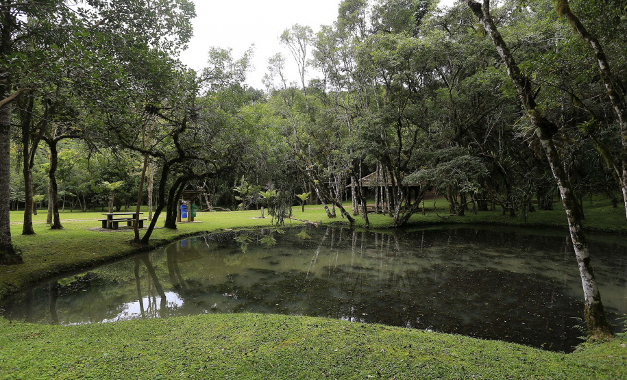 O Instituto Ambiental do Paraná (IAP) informa que as Unidades de Conservação Estaduais do Litoral estarão fechadas para visitação por 15 dias, a partir desta quinta-feira (24). A determinação é uma precaução por conta da ocorrência de casos de febre amarela no estado de São Paulo, próximo à divisa com o Paraná, no Vale do Ribeira, nos municípios de Registro, Iporanga e El Dorado. - Curitiba, 24/01/2019 - Foto: Arquivo ANPr