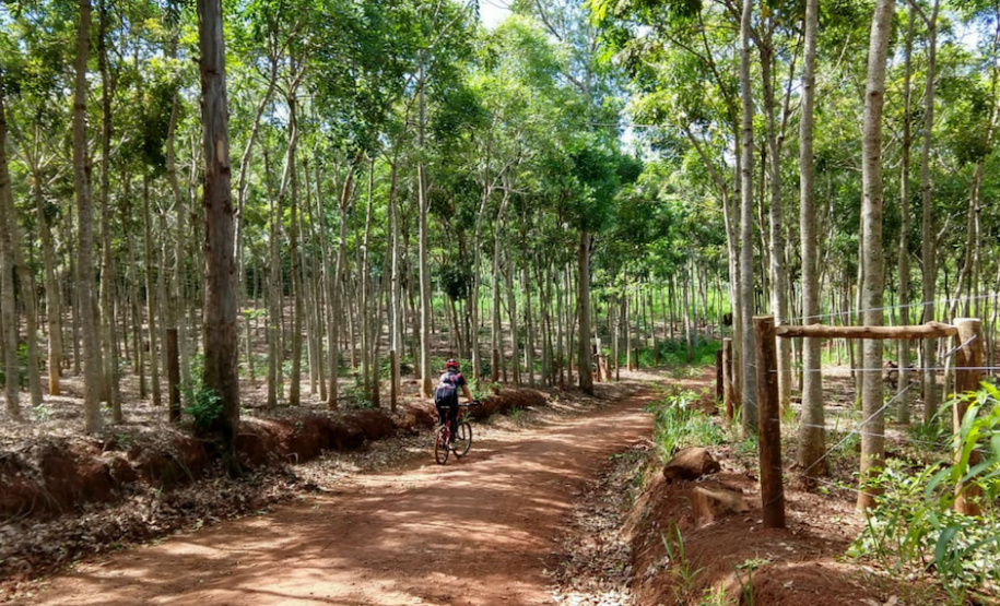 Além das conhecidas caminhadas internacionais da natureza, o Instituto Paranaense deAssistência Técnica e Extensão Rural (Emater-PR), em parceria com o Instituto AndaBrasil, também coordena no Paraná as pedaladas da natureza. Na foto, imagem do percurso natureza e produção rural em Ribeirão Claro - Foto: Marina P P Lima /Emater