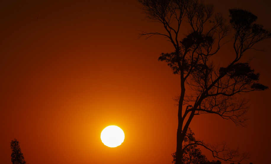 Como ocorre em várias regiões do Brasil, a onda de calor neste início de
ano está provocando o aumento do consumo de energia no Paraná. - Foto: Arnaldo Alves/ANPr