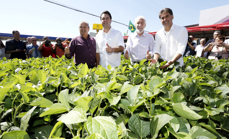 Governador Carlos Massa Ratinho Junior durante Coletiva de Imprensa no Show Rural.  Cascavel, 07/02/2019  -  Foto: Arnaldo Alves/ANPr