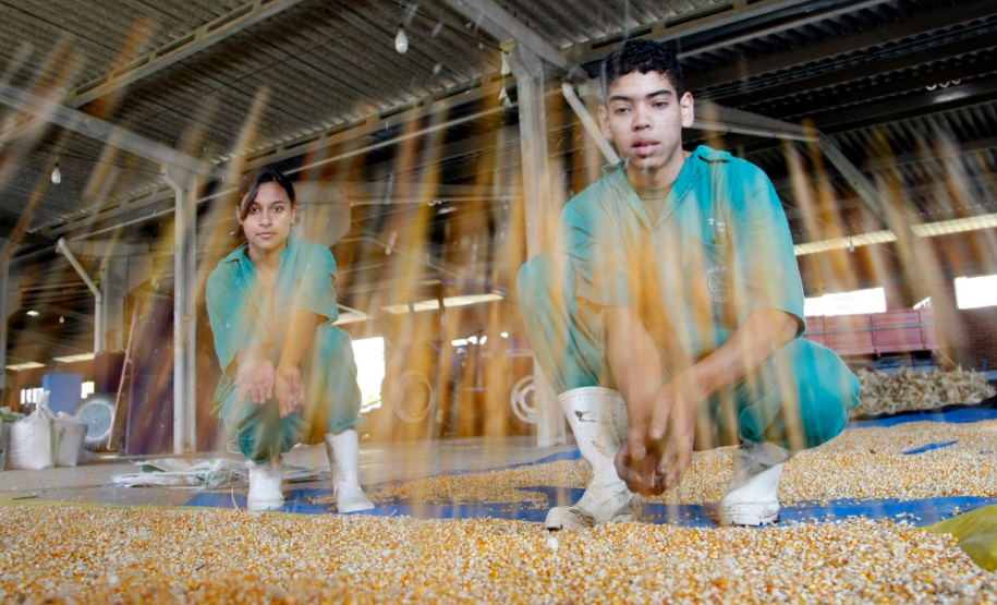 Os cerca de 21 mil alunos matriculados nos Centros Estaduais de Educação Profissional, colégios agrícolas e florestal vão encontrar várias novidades quando retomarem a rotina escolar na próxima quinta-feira (14), início do ano letivo na rede estadual de ensino. Foto:Divulgação/SEED