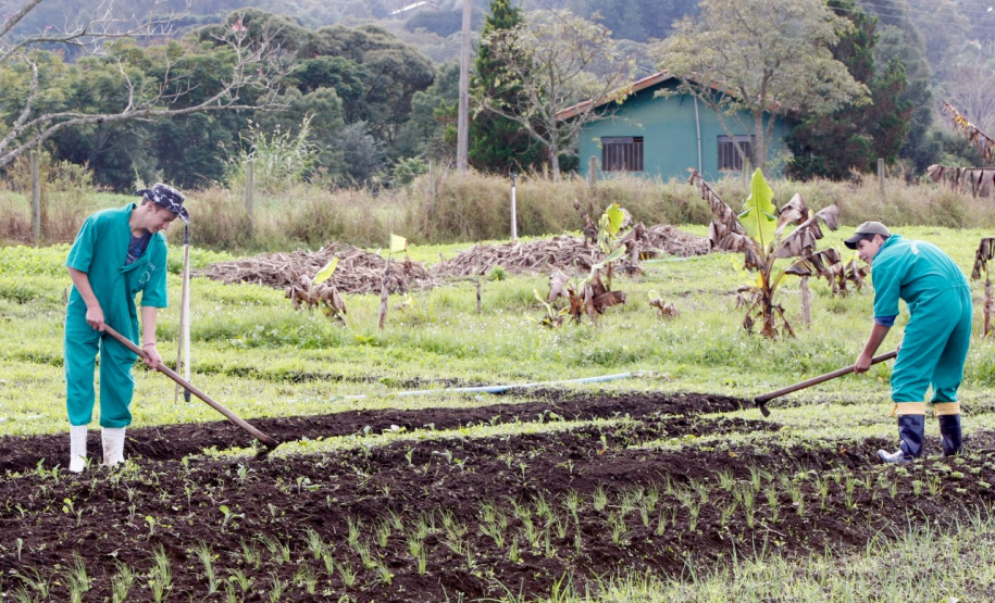 Os cerca de 21 mil alunos matriculados nos Centros Estaduais de Educação Profissional, colégios agrícolas e florestal vão encontrar várias novidades quando retomarem a rotina escolar na próxima quinta-feira (14), início do ano letivo na rede estadual de ensino. Foto:Divulgação/SEED