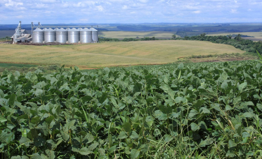 IAP e Crea atuarão juntos na fiscalização ambiental. Foto: Cleverson Beje/Arquivo FAEP
