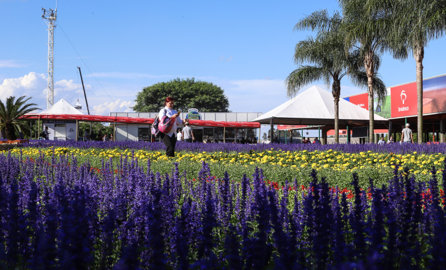 O governador Carlos Massa Ratinho Junior recebe a ministra da Agricultura, Pecuária e Abastecimento, Tereza Cristina, no Show Rural Coopavel. - Cascavel, 08/02/2019 - Foto: Rodrigo Félix Leal/ANPr
