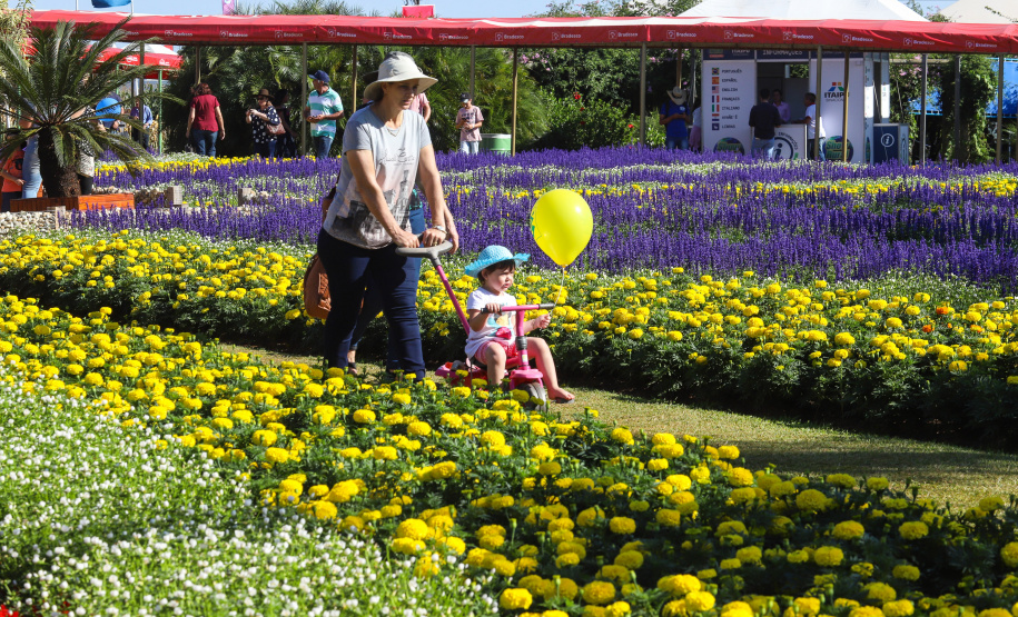 O governador Carlos Massa Ratinho Junior recebe a ministra da Agricultura, Pecuária e Abastecimento, Tereza Cristina, no Show Rural Coopavel. - Cascavel, 08/02/2019 - Foto: Rodrigo Félix Leal/ANPr